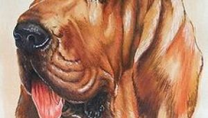 2 Dogs Drawing Die 78 Besten Bilder Von Art Dog Ii Drawings Drawings Of Dogs