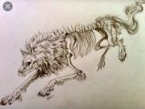 2 Wolves Drawing Half Of A Two Wolves Tattoo Concept I Want to Get Rough Idea Not