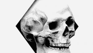 3 Skulls Drawing Skull Black Rotring Ink Dots 0 3 Mm Schoellershammer White Paper