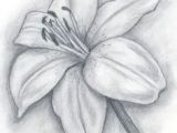 3d Pencil Drawings Of Flowers Credit Spreads In 2019 Drawings Pinterest Pencil Drawings