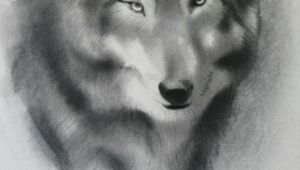 4 Ways to Draw A Wolf A Step by Step Guide Of How to Draw A Wolf