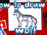 4 Ways to Draw A Wolf How to Draw A Realistic Wolf Youtube