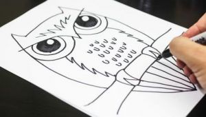 4 Year Old Drawing Ideas How to Draw An Owl Youtube