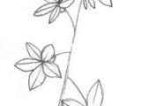 8 March Flowers Drawing 361 Best Drawing Flowers Images Drawings Drawing Techniques
