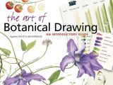 8 March Flowers Drawing the Art Of Botanical Drawing An Introductory Guide Agathe Ravet