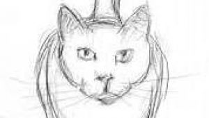 A Drawing Picture Of A Cat Easy Cat Drawings In Pencil Wallpapers Gallery Art and