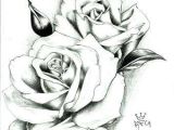 A Drawing Picture Of A Rose 27 Exotic Ideas to Draw Helpsite Us