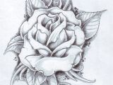 A Drawing Picture Of A Rose Black Rose Arm Tattoos for Women Rose and Its Leaves Drawing