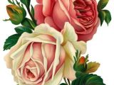 A Drawing Picture Of A Rose Drawing Roses Mttech Draw