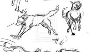 A Drawing Picture Of A Wolf 61 Best Wolf Images Wolves Drawing Ideas Drawings