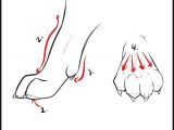 A Drawing Picture Of A Wolf Wolf Drawings Step by Step How to Draw Wolves Step 3 Art Color