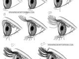 A Realistic Drawing Of An Eye How to Draw Realistic Eyes From the Side Profile View Step by Step