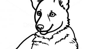 A Simple Drawing Of A Dog How to Draw Puppy German Shepherd Dogs and Puppies Drawings In