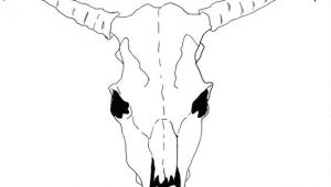 Animal Skull Drawing Step by Step How to Draw A Cow Skull for Georgia O Keeffe Cow Skull Art