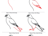 Animals Birds Drawing How to Draw Falcon Google Search Easy Drawings Bird