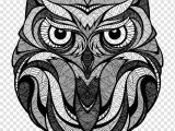 Animals Birds Drawing Owl Drawing Bird Art Inspired by the Green Skateboards Owl
