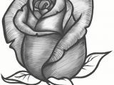 Artist Drawing Of A Rose Easy Steps to Draw A Flower Vase Art Drawings How to Draw A Vase