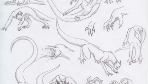 Artist Drawings Of Dragons Dragon Poses 2 by Triinuarjus Drawing Guides In 2019 Dragon
