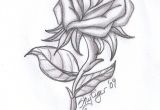 Basic Drawing Of A Rose Rose Drawings Rose Pencil Drawing by Skytiger On Deviantart