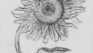 Beginner Sketch Easy Stuff to Drawing How to Draw A Sunflower Step by Step Easy Google Search