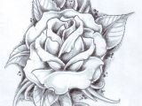Best Drawing Of A Rose Rose with Banner New Easy to Draw Roses Best Easy to Draw Rose