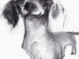 Big Drawing Dogs 107 Best 2017 Big Wall Ideas Images Dog Paintings Drawings Of