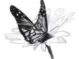 Butterfly and Flower Easy Drawing Traditional Pencil 2006 In 2019 butterfly Drawing Pencil