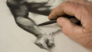 Cartoon Drawing Courses Uk Free Online Drawing and Sketching Classes