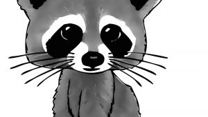 Cartoon Drawing Raccoon Cartoon Raccoon Drawing In 4 Steps with Photoshop Tattoo Ideas