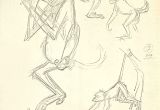 Cartoon Jungle Drawing the Jungle Book King Louie S Monkey Gang Action Studies