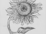 Cool Easy Drawings Of Roses Step by Step How to Draw A Sunflower Step by Step Easy Google Search Drawing