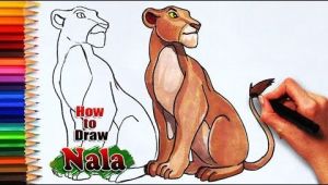 Cougar Animated Drawing How to Draw Nala From the Lion King the Lioness Drawing