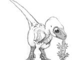 Cute Velociraptor Drawing 10 Best 3 Images On Pinterest