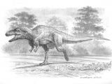 Cute Velociraptor Drawing Acrocanthosaurus by Bioimagen On Deviantart Prehistoric Fauna