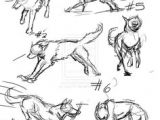 Directed Drawing Of A Wolf 20 Best Wolf Drawings Images Ideas for Drawing Wolf Drawings