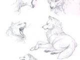 Directed Drawing Of A Wolf 209 Best Wolf Sketch Images In 2019 Drawing Techniques Animal