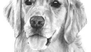 Dog Drawing Artists 205 Best Dog Artists Images In 2019 Dog Portraits Drawings Of