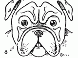 Dog Drawing Gif Bulldog Drawing Easy Step by Step Drawing Animals Bulldog