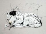 Dog Drawing Jake Jack Russell Print Of My Terrier Sketch Ideal Jack Russell Gifts