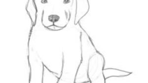 Dog Drawing Realistic Easy How to Draw A Puppy Drawing Drawings Puppy Drawing Sketches