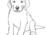 Dog Drawing Really Easy Dog Drawings In Pencil Easy for Kids Sketch Coloring Page Drawing