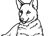 Dog Drawing Template How to Draw Puppy German Shepherd Dogs and Puppies Drawings In