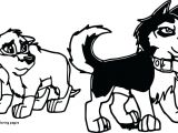 Dog Drawing to Colour Fresh Black and White Wolf Coloring Pages Nicho Me