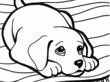 Dog Lying Down Drawing Coloring Pictures Of Puppys to Print and Color Look at This Cute
