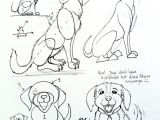 Dog S Body Drawing How to Draw A Dog Yahoo Image Search Results Drawing Tips