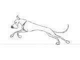 Dog S Tail Drawing Dog Run Cycle Animal Creature Animation Pinterest Animation