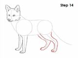Dog S Tail Drawing Red Fox Drawing 14 My Drawing Chalenge In 2019 Pinterest