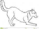 Dog S Tail Drawing Siberian Husky Alaskan Malamute the Dog is Playing Line Drawing