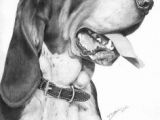 Dogs Barking Drawing 183 Best Dog Art Images Dog Art Drawings Of Dogs Pencil Drawings