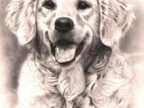 Dogs Barking Drawing 37 Best Dog Sketches Images Pencil Drawings Graphite Drawings